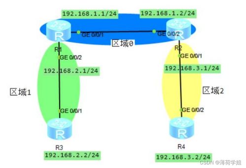 网络工程师一定要学会的知识点 ospf,今天给大家详细介绍